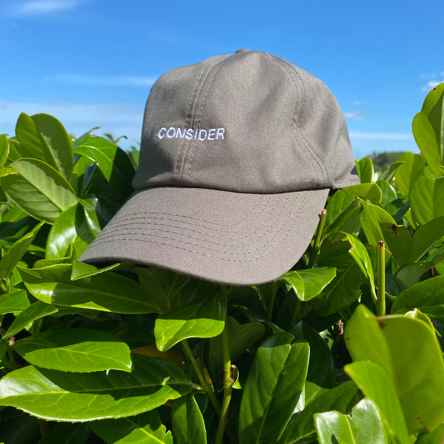 Cap